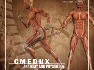 anatomy.jpg